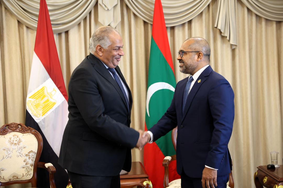 The newly appointed Ambassador of Egypt calls on Foreign Minister Dr. Khaleel