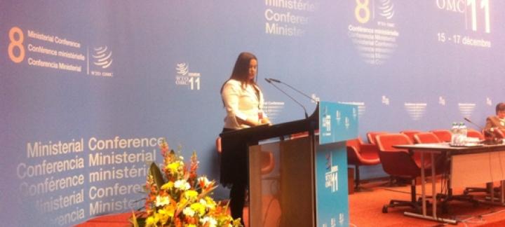 Maldives Ambassador calls for special consideration to small economies in the world trade system