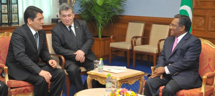 Turkmen delegation meets the President
