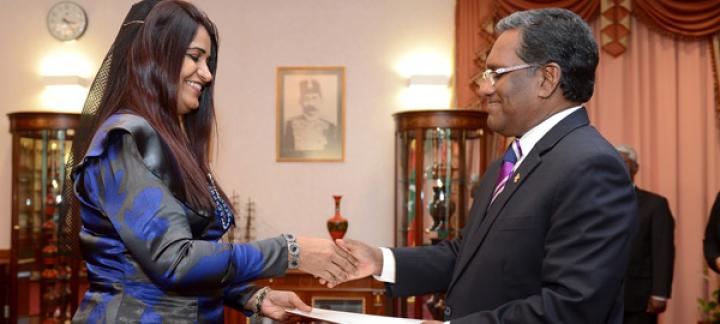 President Appoints Ambassador to UAE