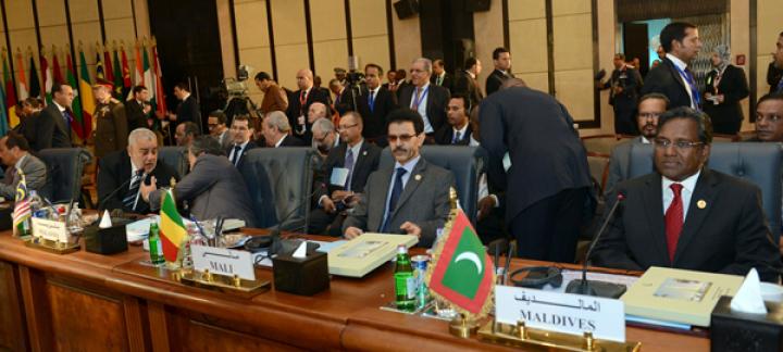 OIC Summit Begins in Egypt