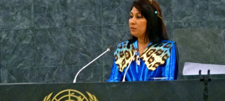 Maldives Calls for Non-Interference in Internal Affairs of Sovereign States