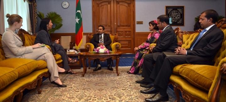 US Ambassador calls on the President