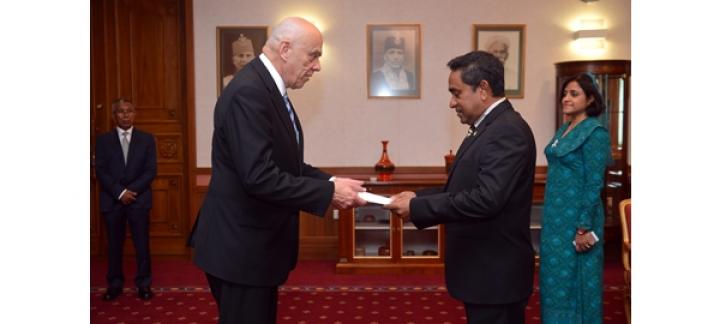 New Finnish Ambassador presents credentials to the President