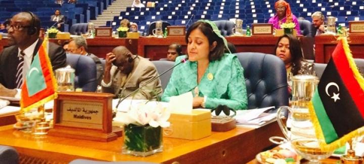 We should not let terrorists redraw the map of the world – FM Dunya