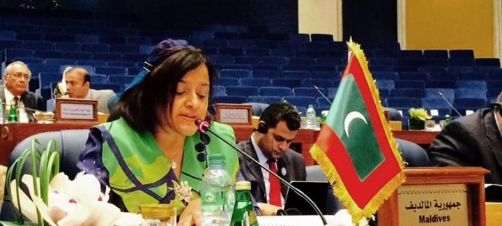 Muslims should join hands together to rebuild the fallen bridges of tolerance & moderation – FM addresses the OIC