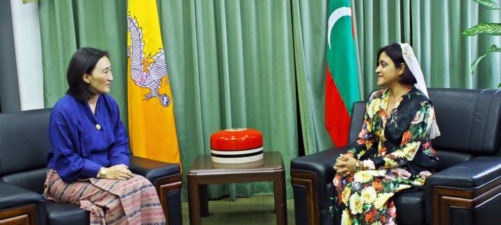 Bhutan Ambassador pays farewell call on the Foreign Minister